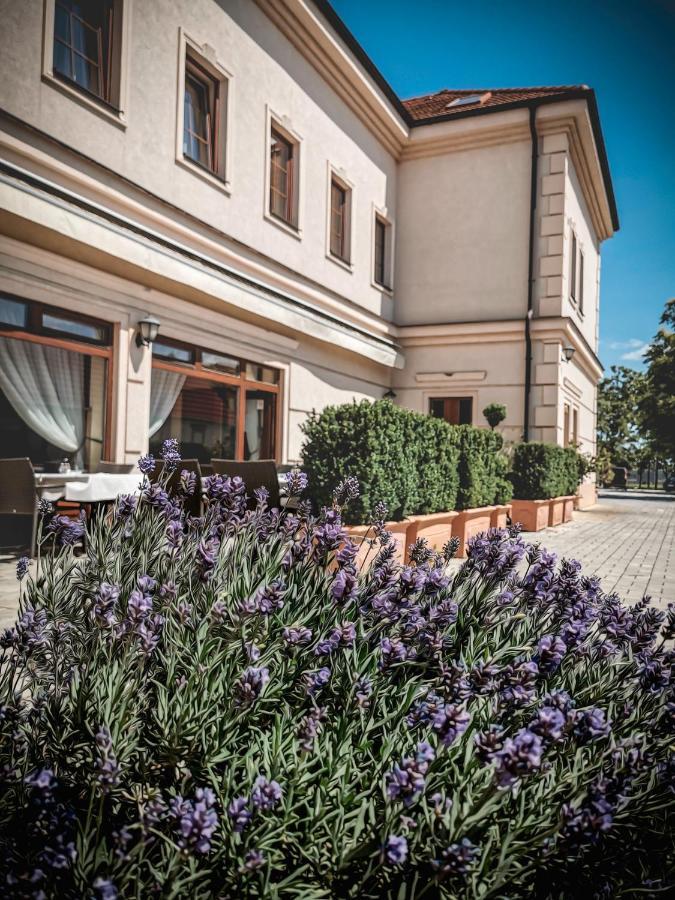 Restaurant Pansion Wien Cierny Brod Buitenkant foto